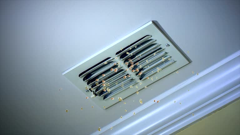 Best Air Duct Cleaning Company Near Me  in Pocono Woodland Lakes, PA