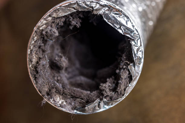Best Affordable Air Duct Cleaning  in Pocono Woodland Lakes, PA